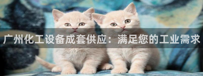 门徒平台登录步骤