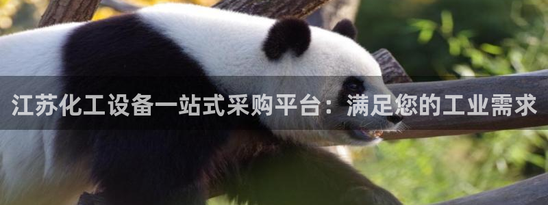 门徒娱乐平台登录地址在哪