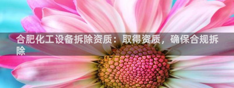 门徒平台注册中心官网