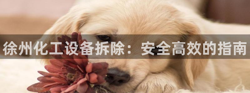 门徒娱乐注册登录地址怎么填