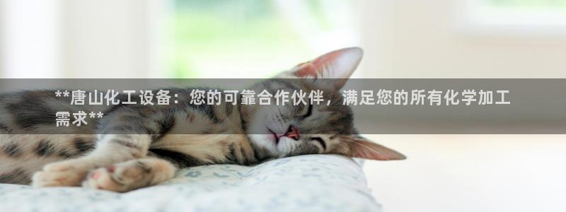 门徒平台中心链接是什么