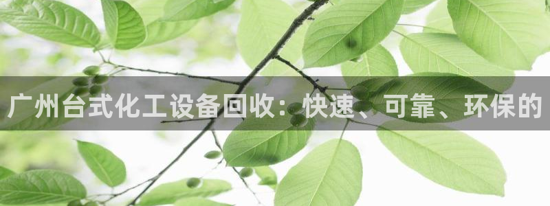 门徒平台注册登录站