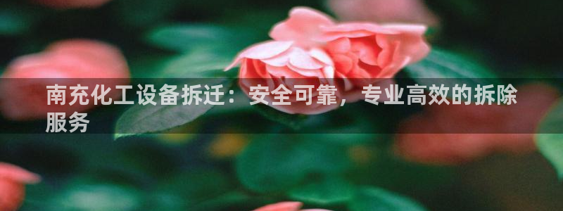 门徒娱乐下载手机版最新版