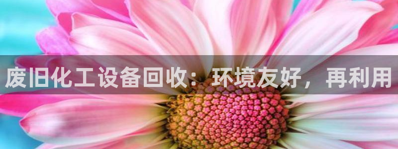 门徒平台商 411O31 门徒