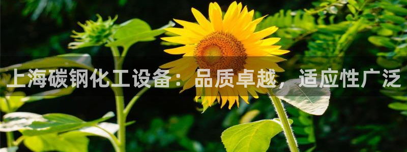 门徒平台集团官网下载安装