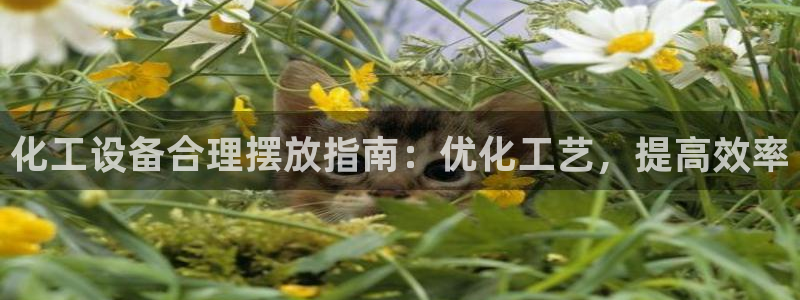 门徒娱乐有没有分红