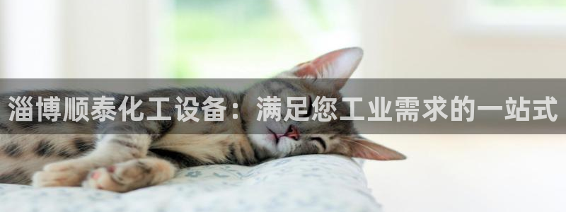 门徒平台登录步骤是什么