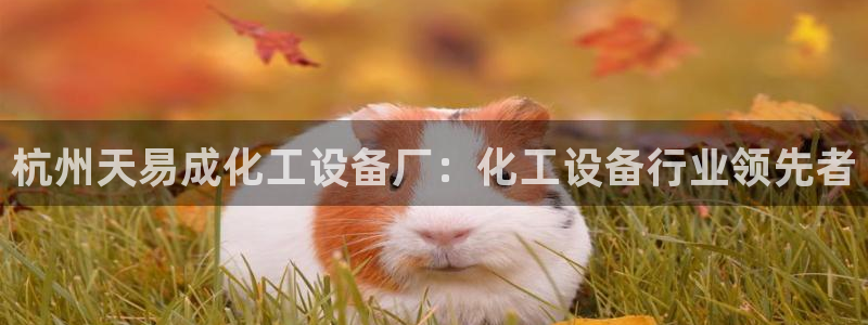 门徒娱乐多长时间了