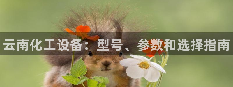 门徒平台能提款吗安全吗