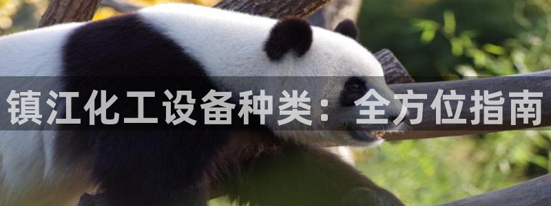 门徒娱乐注册登录地址是哪里