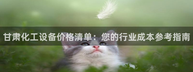 门徒平台主管代理