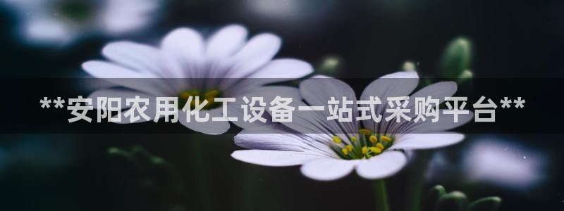 门徒平台代理怎么做