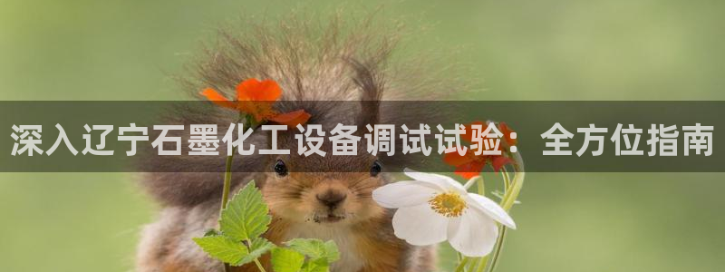 门徒平台登录注册失败