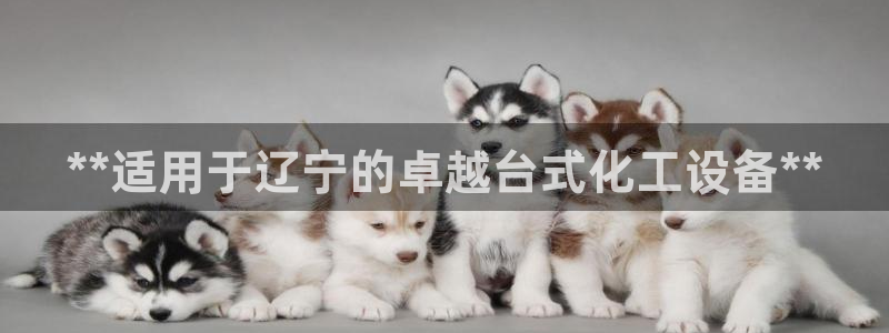 门徒平台理 411o31 门徒
