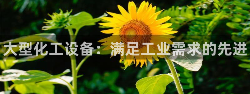 门徒平台链接