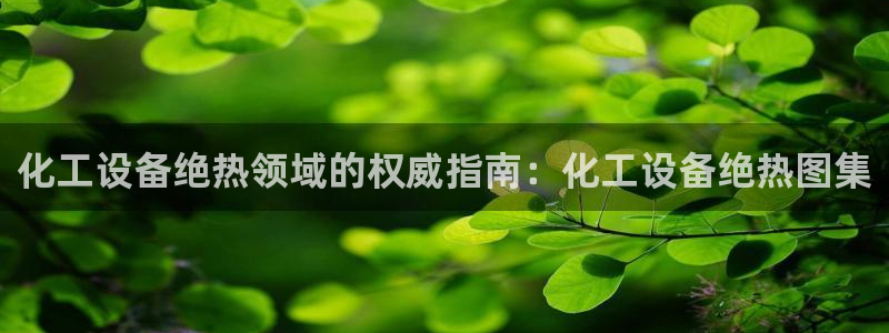 门徒平台注册中心官网查询