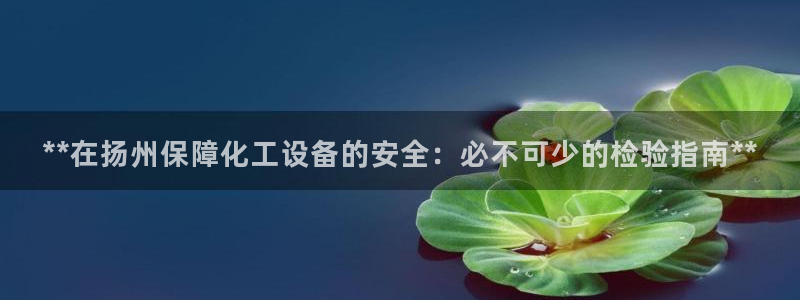 门徒娱乐控制器：**在扬州保障化工设备的安全：必不