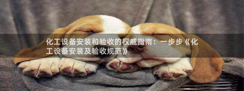门徒平台招 5O6917 平台