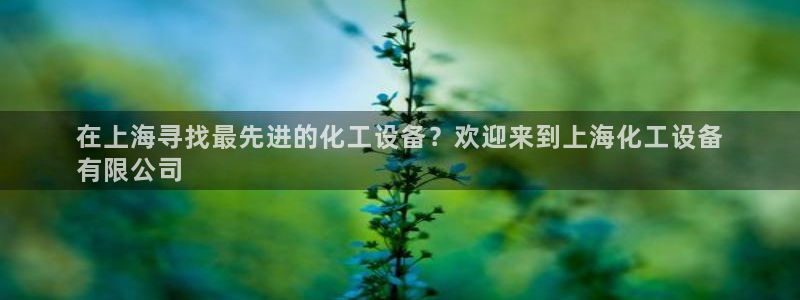 门徒娱乐是干嘛