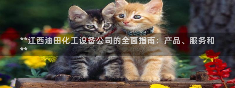 门徒娱乐平台代理公司：**江西油田化工设备公司的全