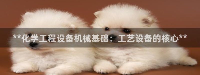 门徒平台万 37oo735：**化学工程设备机械基础：工艺设