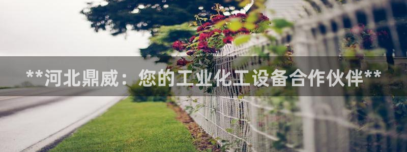 门徒娱乐登录地址在哪查询啊