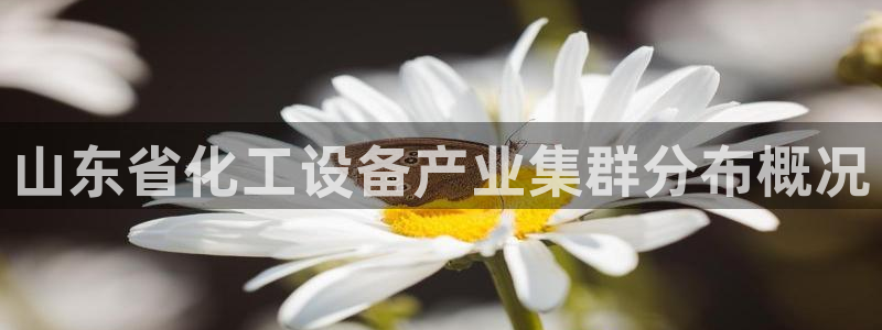 门徒平台注册官网入口