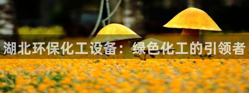 门徒平台入.门徒平台.几年了.长久.中国
