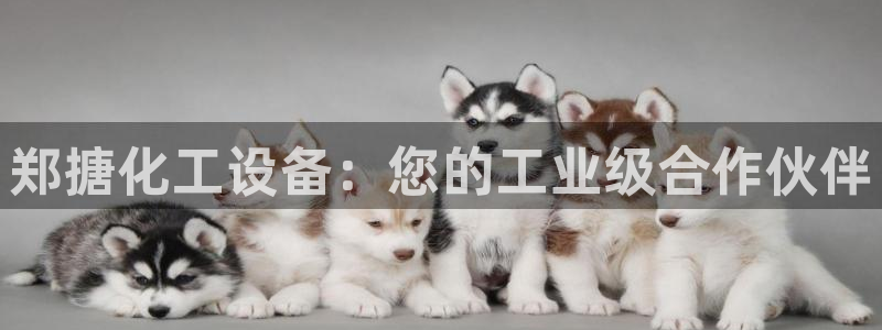门徒娱乐选 3.7.oo.7.3.5