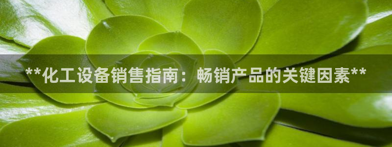 门徒平台开户要求有哪些