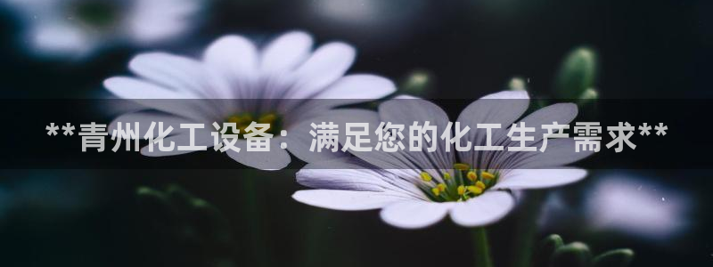 门徒娱乐登录测速
