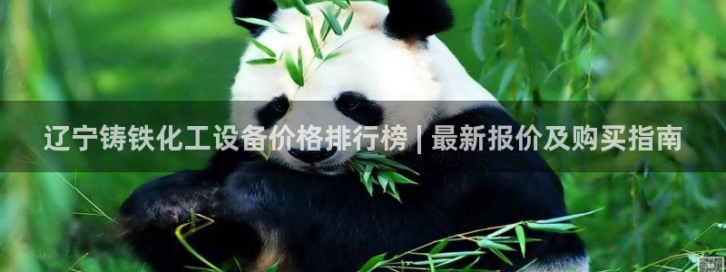 门徒娱乐怎么注册公司