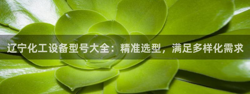 门徒平台登录步骤图