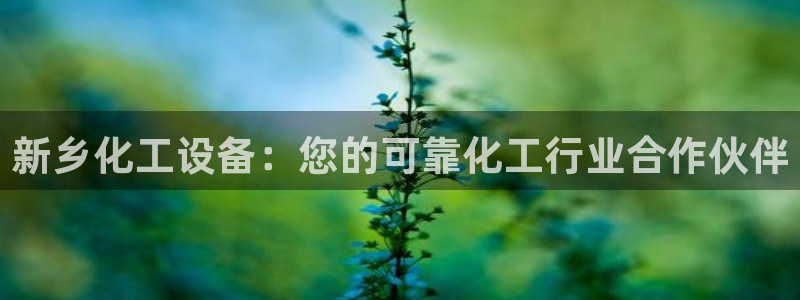 门徒平台马 411O31 门徒