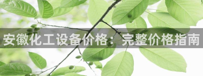 门徒平台例7O777