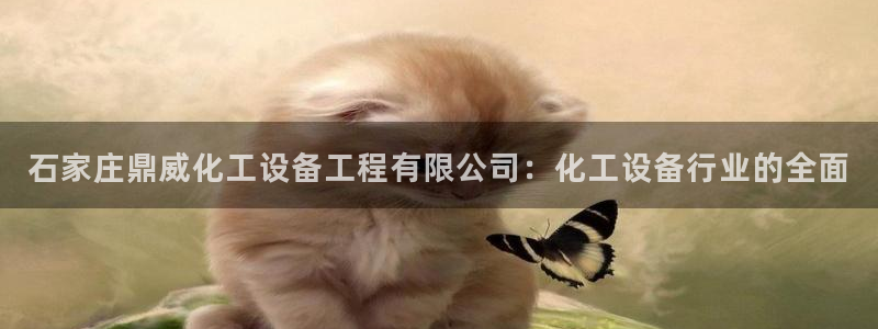 门徒娱乐可以提现么：石家庄鼎威化工设备工程有限公司