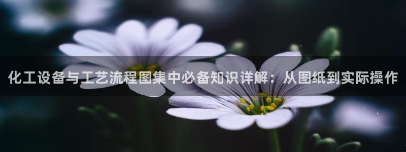 门徒平台链接：化工设备与工艺流程图集中必备知识详解：从图纸到
