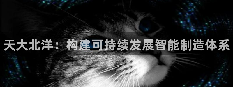 门徒平台和盛煌平台区别