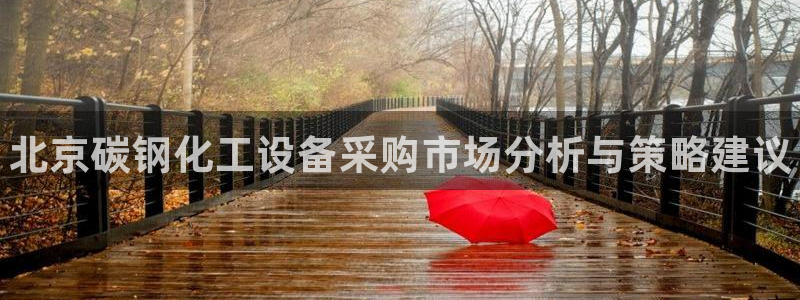 门徒平台注册中心官网：北京碳钢化工设备采购市场分析与策略建议