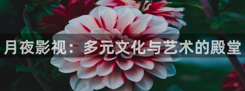 青青草久久影院