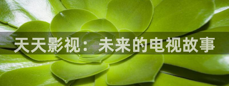 97青青影院