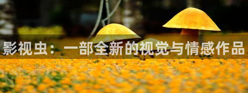 www青青草原